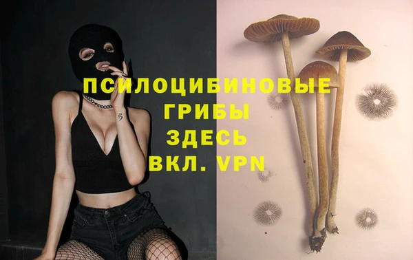 герыч Инсар